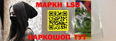 винт Донецк