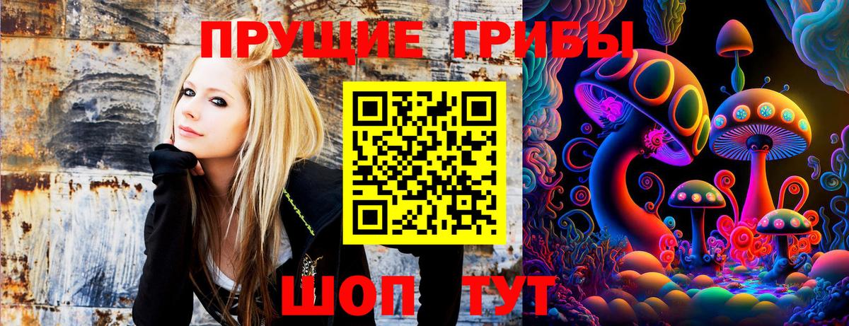 Нефтекамск  Псилоцибиновые грибы GOLDEN TEACHER  магазин продажи наркотиков  Галлюциногенные грибы Cubensis  Вход с VPN 