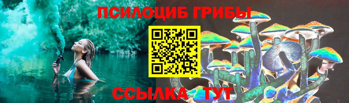 Галлюциногенные грибы Cubensis Нефтекамск